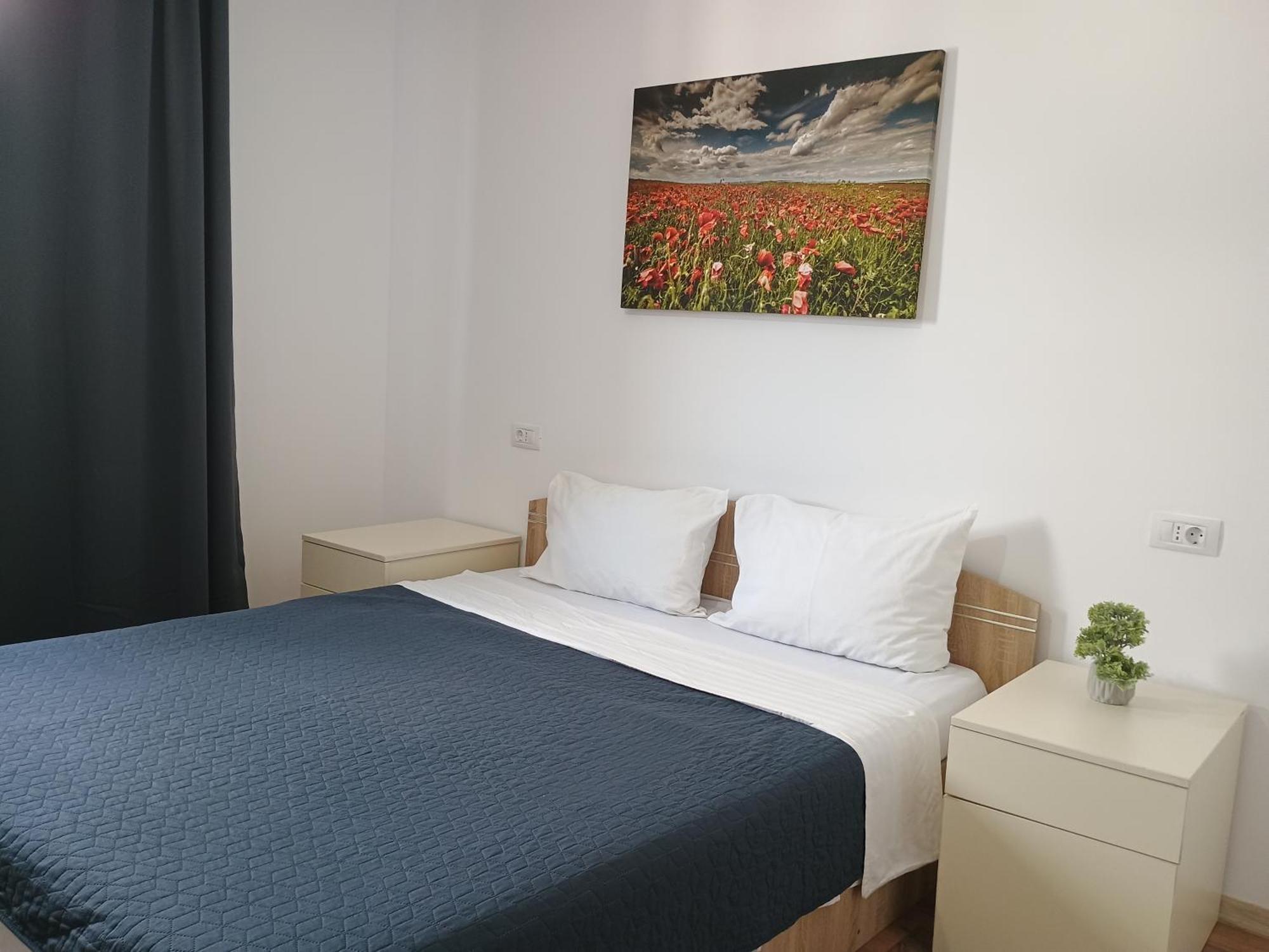 Clasificat - Cazare Grupuri Ap 2dormitoare Si Living - Vouchere, Factura, Petfriendly, Adminro Srl *